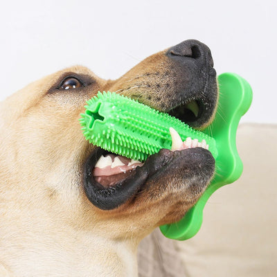 PawsLife™ Tooth brush Toy