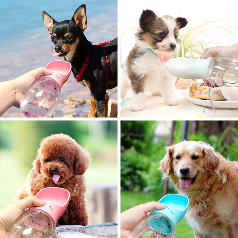 Portable Water Bottle for Dogs and Cat